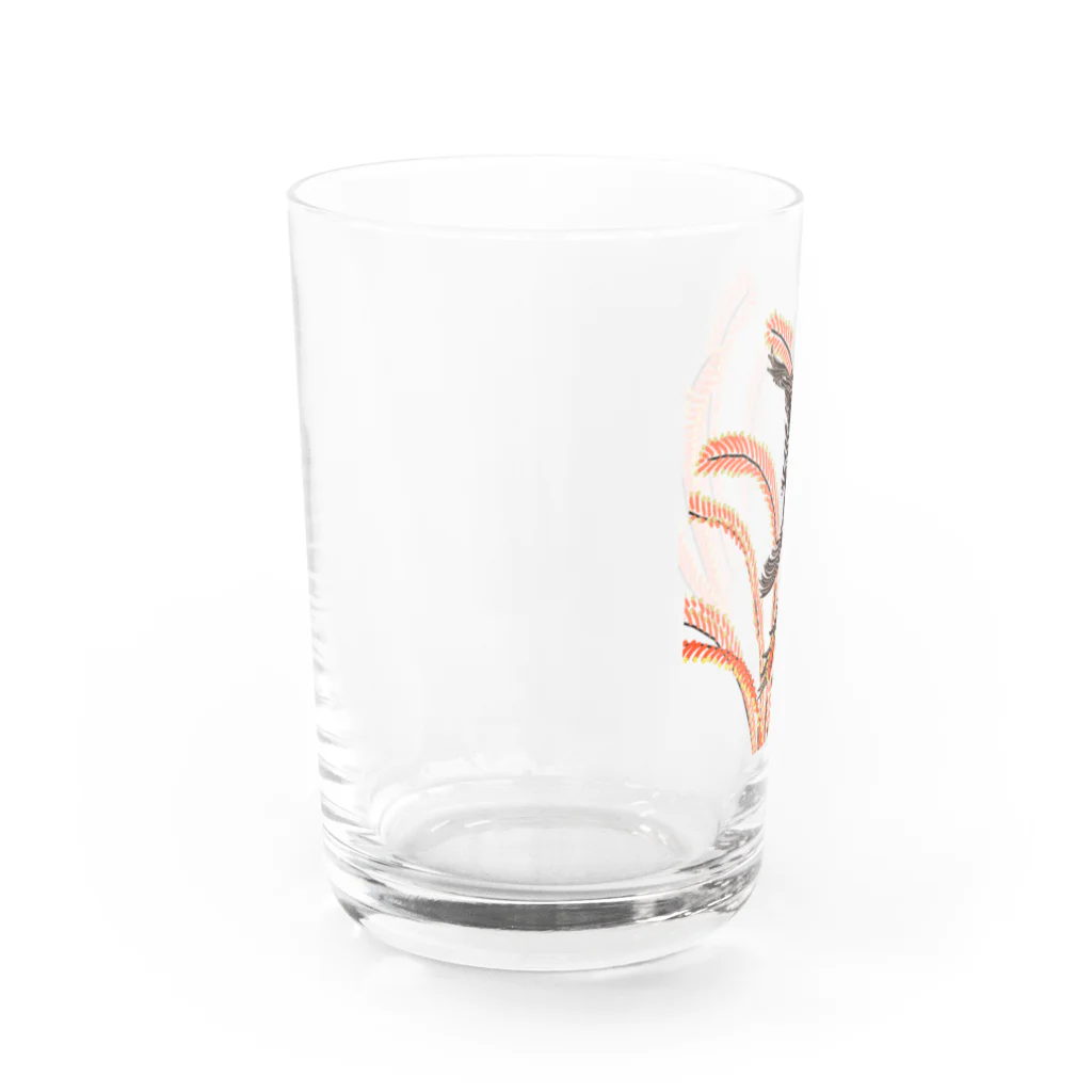 棘のゼブラバットフィッシュとウミシダ Water Glass :left