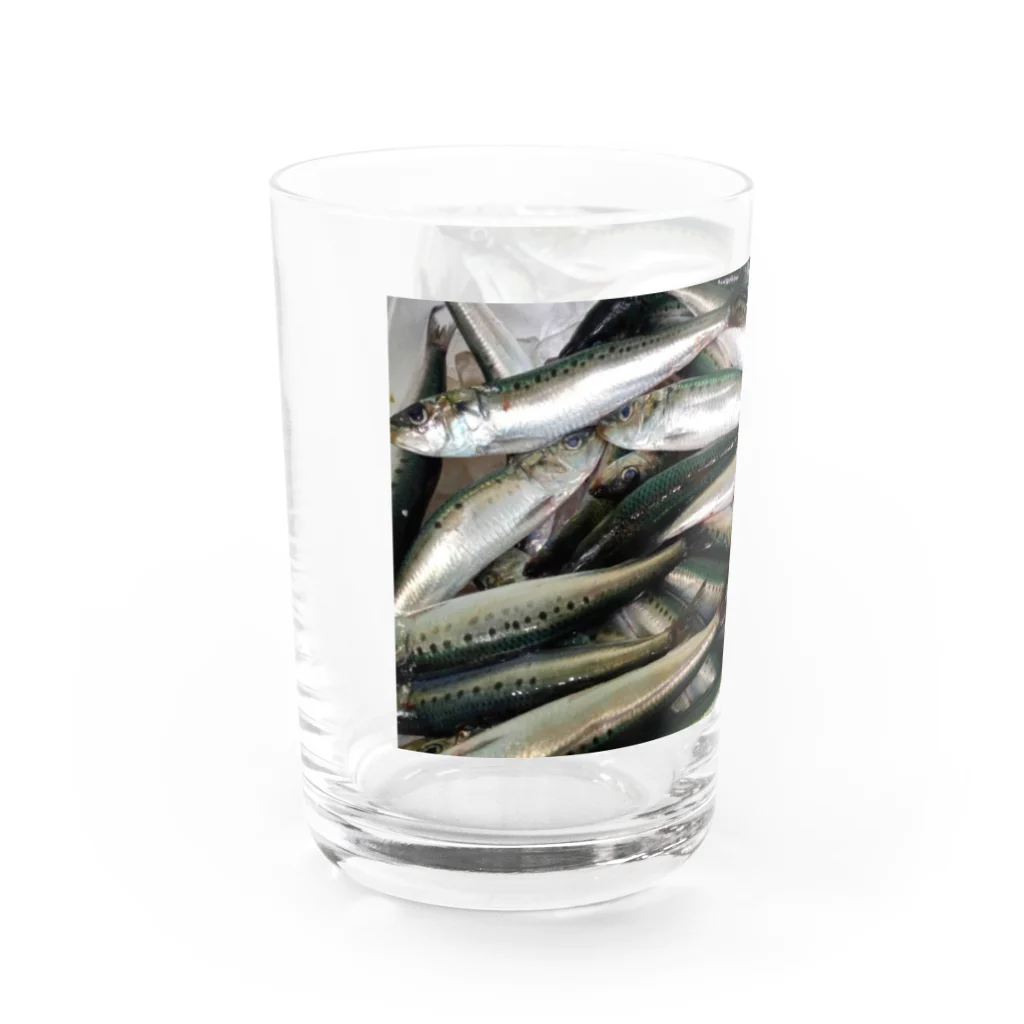 かわいい鰤たちのイワシの香り漂うグラス Water Glass :left