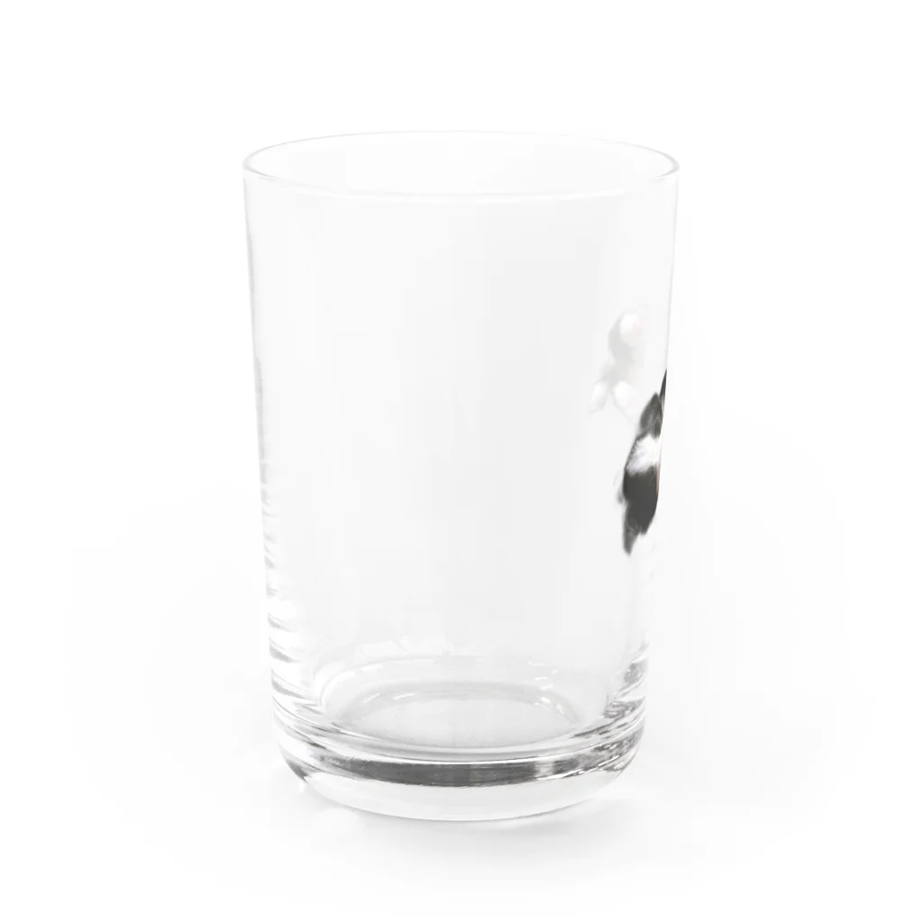 ポップコーンのボーダーコリー Water Glass :left