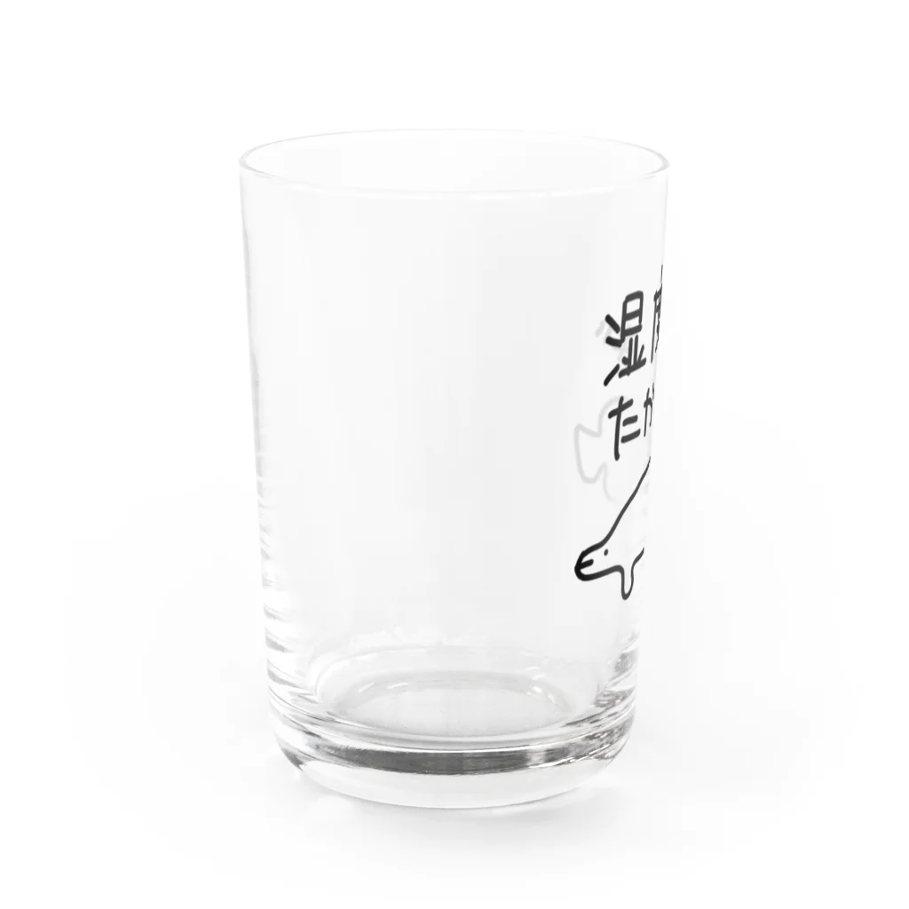 ミナミコアリクイ【のの】の湿度が高すぎる【ピラルク】 グラス左面