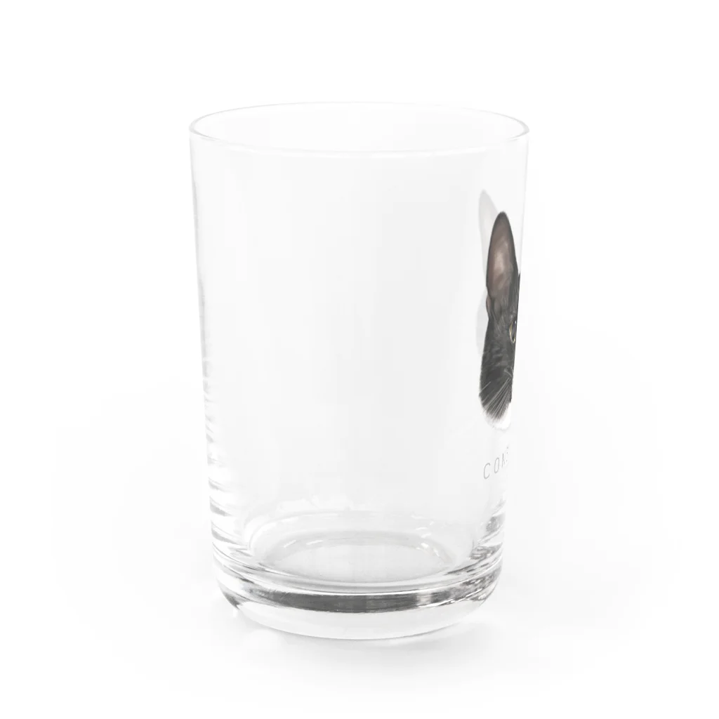 CONSOLER(コンソレ)のCONSOLER 猫 002 Water Glass :left