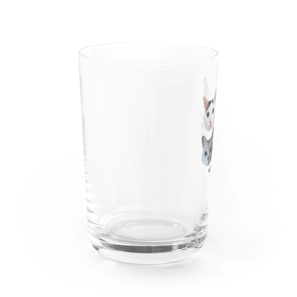 ねこほうチャンネル公式グッズのねこほう実写集合！ Water Glass :left