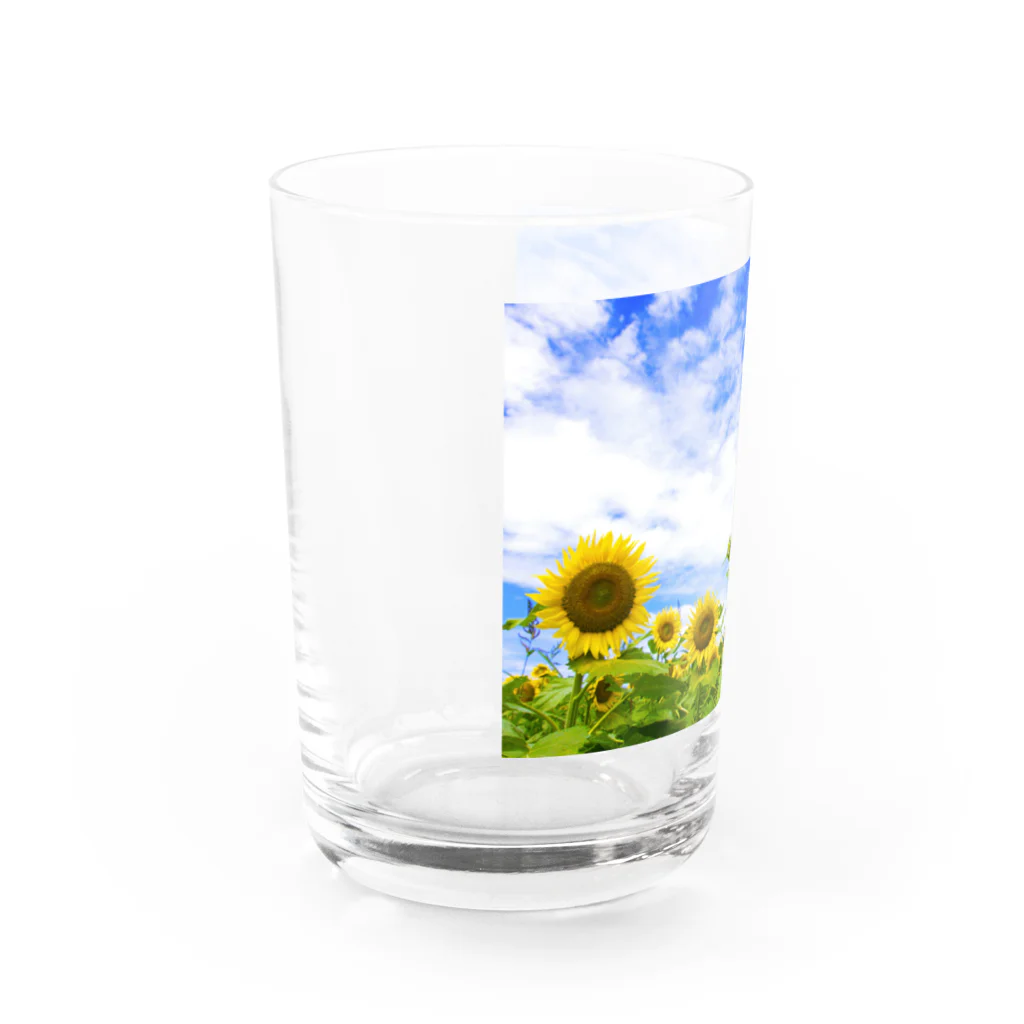 orange_honeyのひまわり4 Water Glass :left