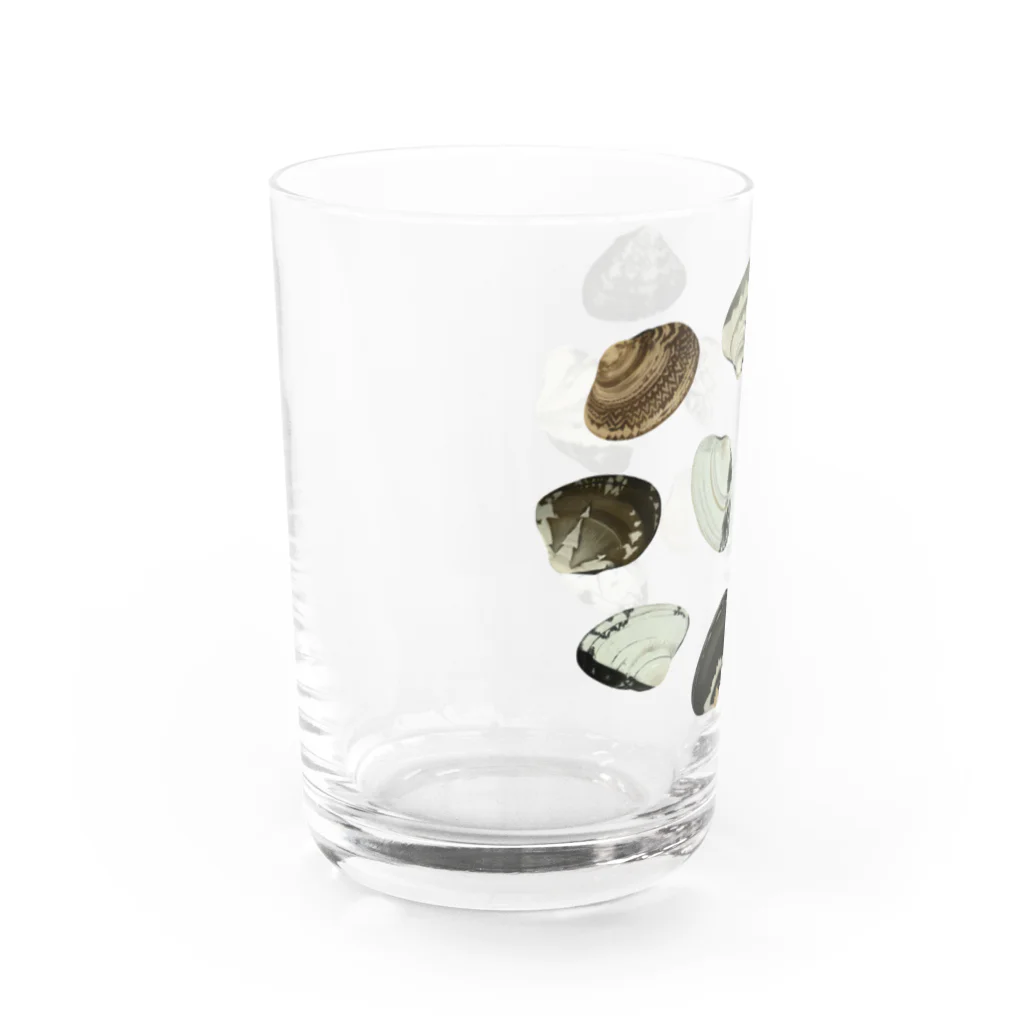 スカシカシパン堂のアサリマニア Water Glass :left