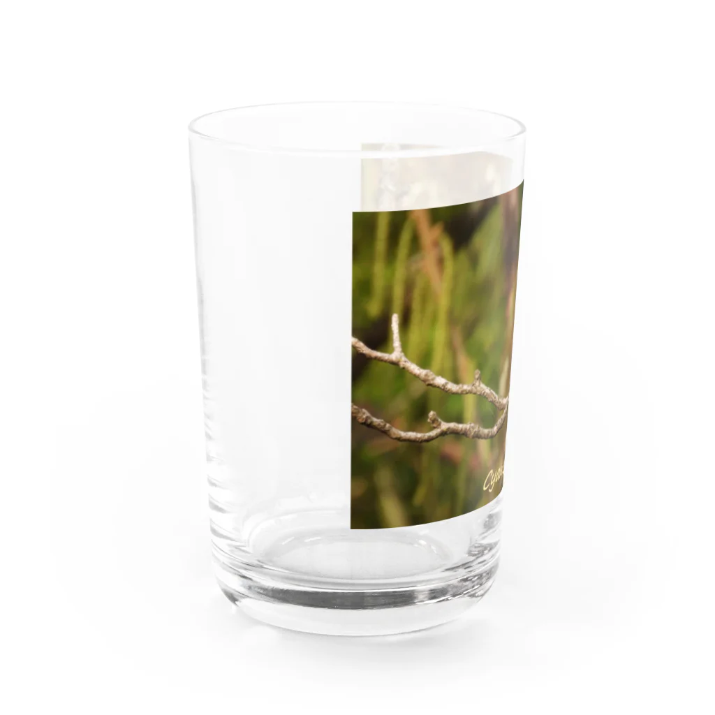emiemieのオオルリ（学名入り） Water Glass :left