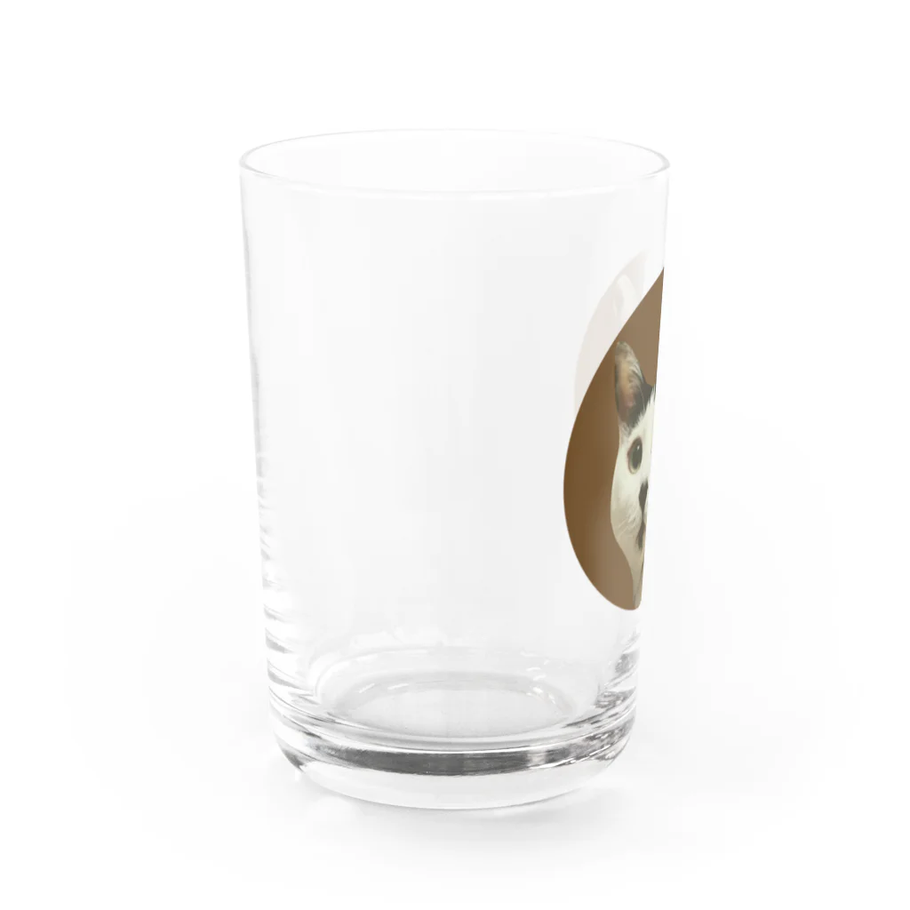 harupink🌸ペット似顔絵illustのリアルな福にゃん(カフェオレ) Water Glass :left