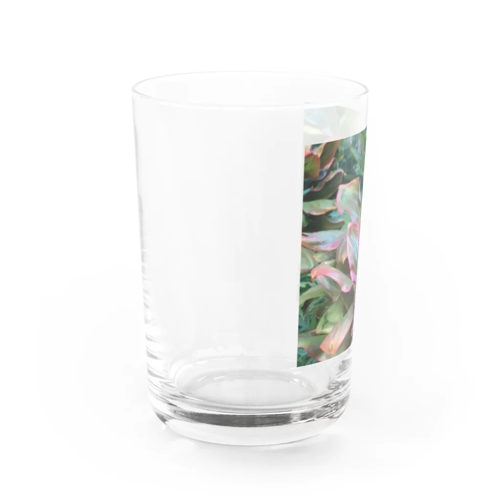 Mahina o Hokuのaloha kakahiaka  Water Glass :left