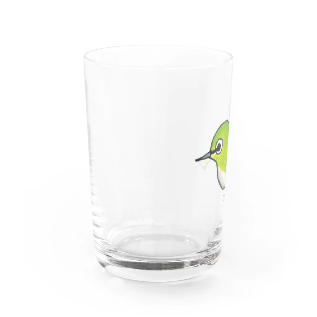 森図鑑の[森図鑑] ぽつんとメジロ Water Glass :left