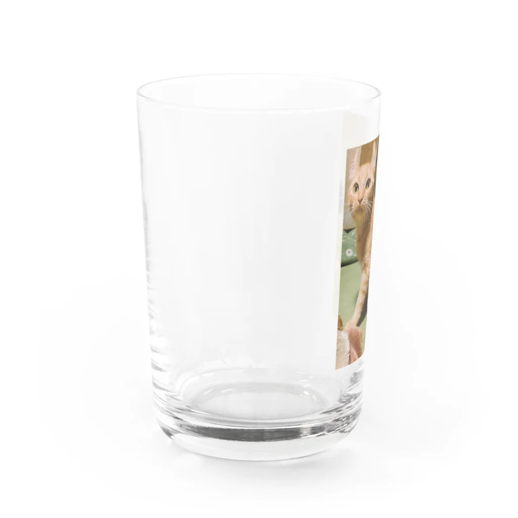 ふじちゃんの猫のまろんちゃんキーホルダー Water Glass :left