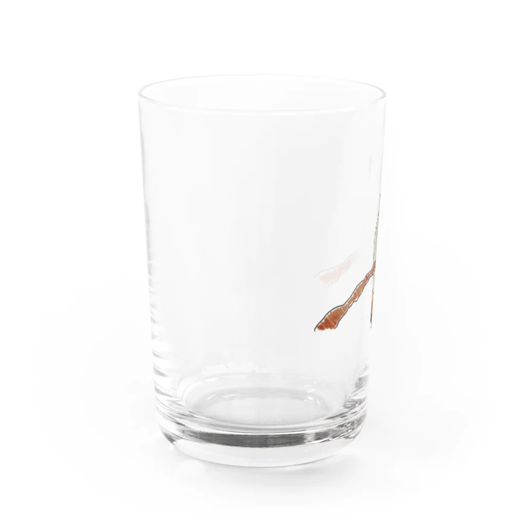 あべなつきの絵本クッズ店へようこそのドヤ顔なヨウム Water Glass :left