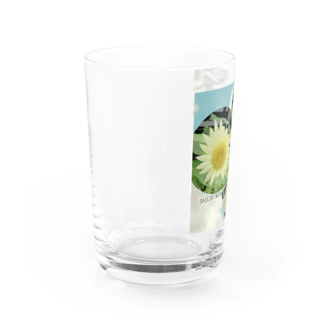 Hana123のめずらしい向日葵 Water Glass :left