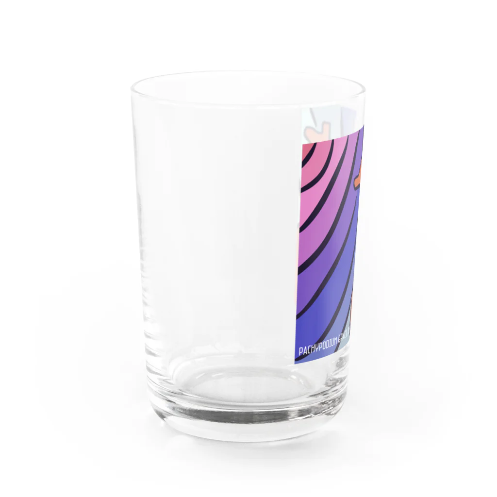 パキポキさんのPachypodium Gracilius  Water Glass :left