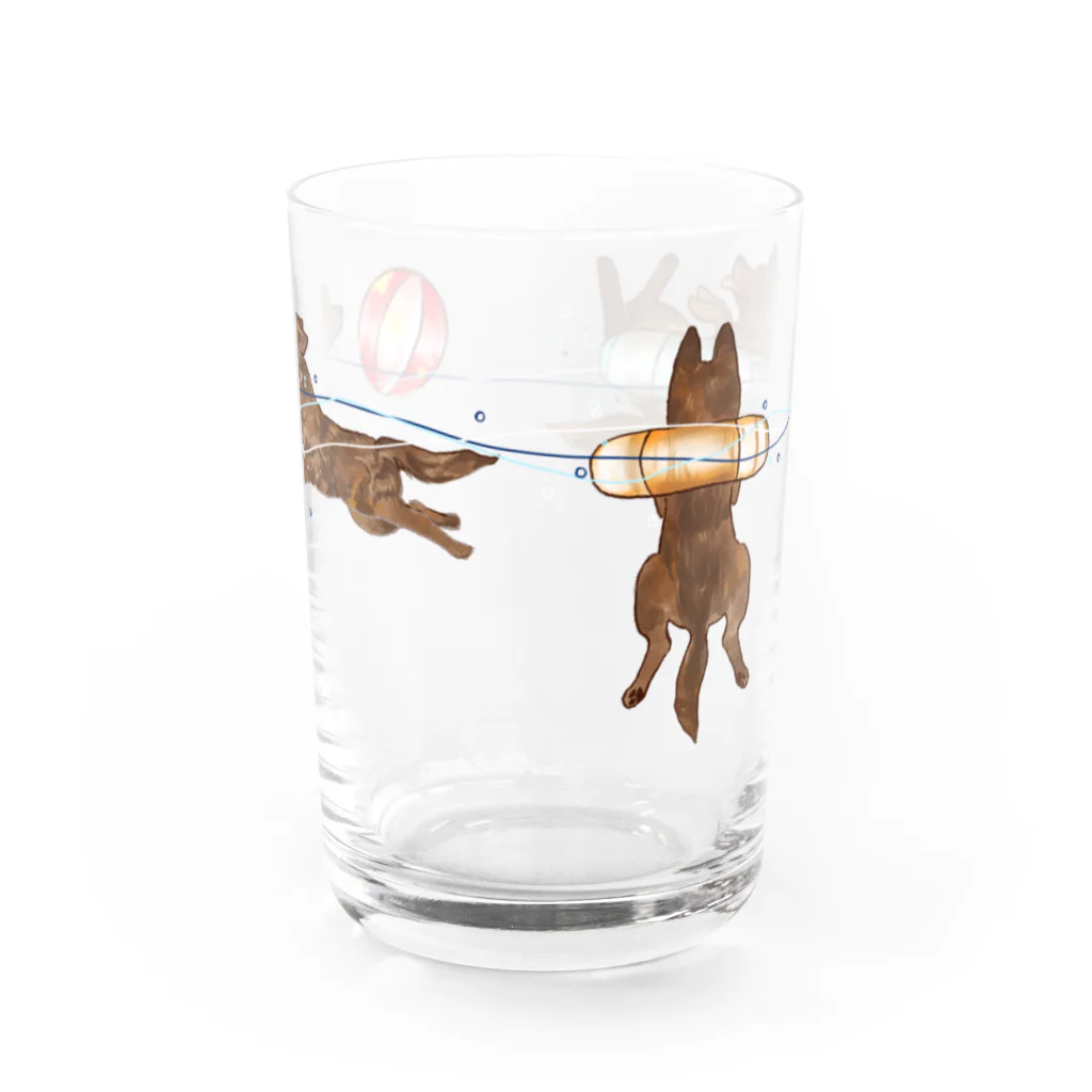 くろげちゃまじりのグラスで泳ぐ甲斐犬 Water Glass :right