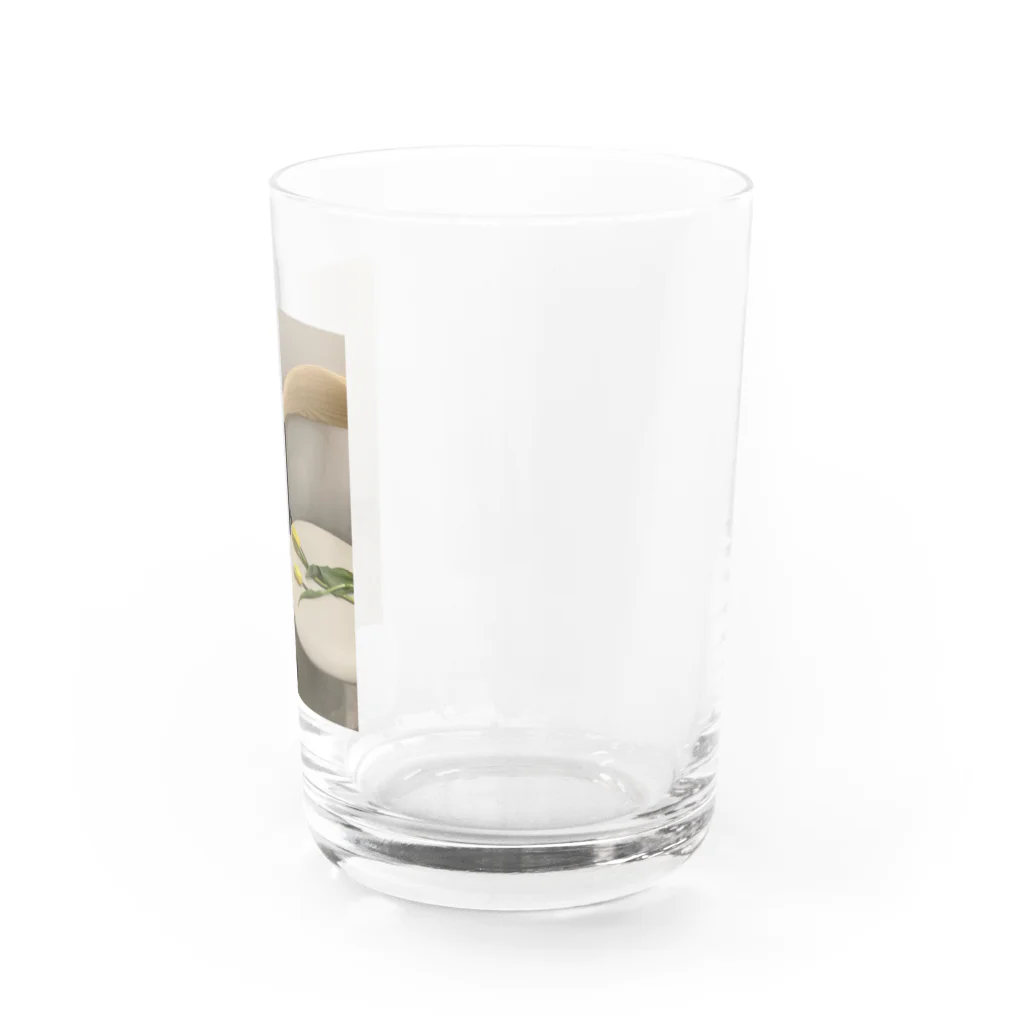 emoemoemotionalのTULIP Water Glass :right