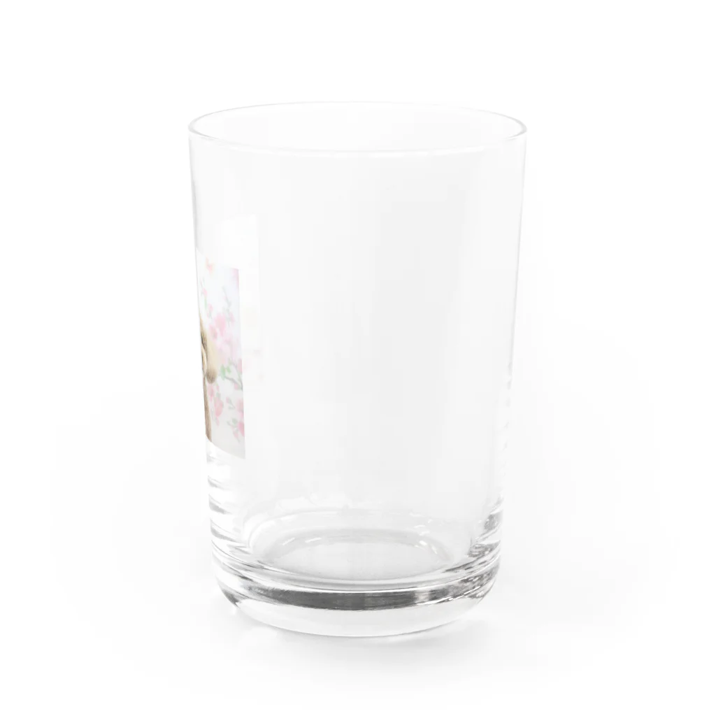 kuu※kawaii!!のトイプードルのくーちゃん Water Glass :right