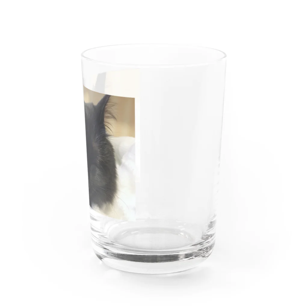 ニャンコの秘密基地のみみちゃん Water Glass :right