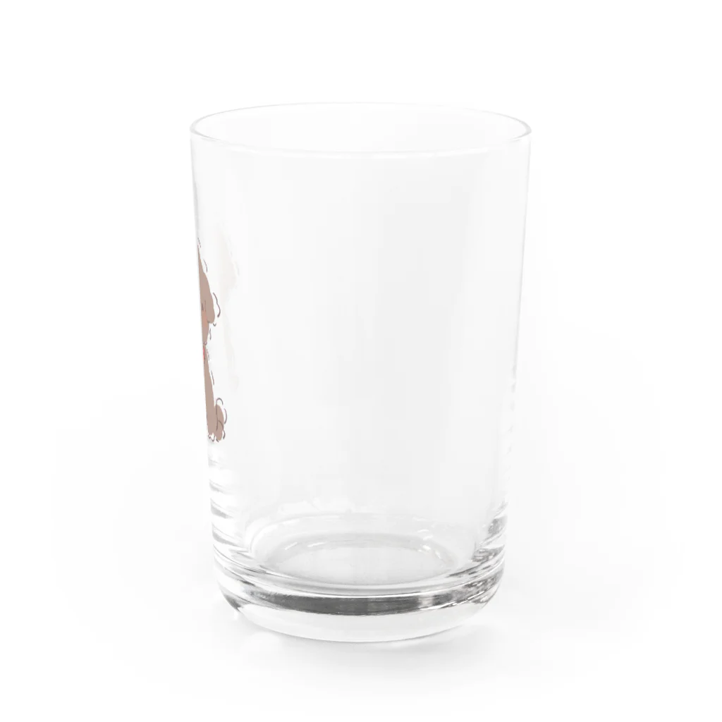 ぷーどるはうすのトイプードルレッドくん Water Glass :right