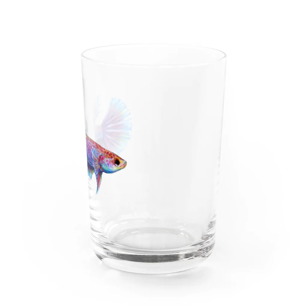 おぐらしほのベタ_色鉛筆 Water Glass :right