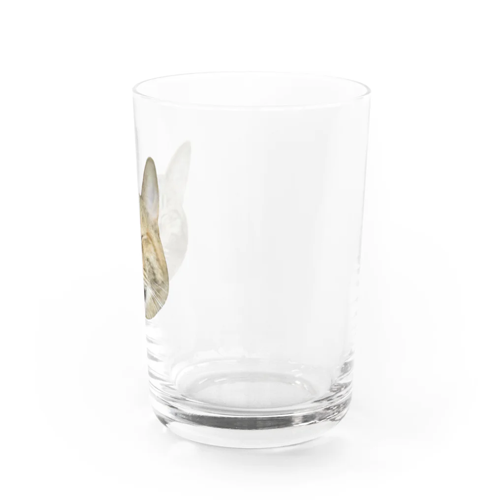 桃くるみSHOPのアハハにゃん Water Glass :right