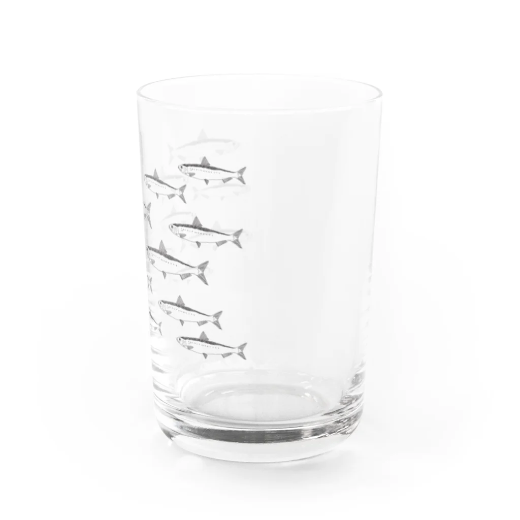 ただの釣り好きのマイワシの群れ Water Glass :right