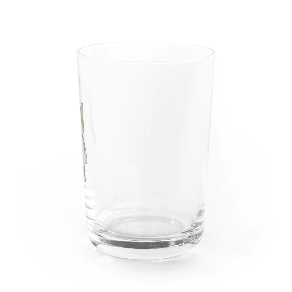 KOBEアニマルレスキューPinkyの保護っ子きゅうたの赤いリボン Water Glass :right