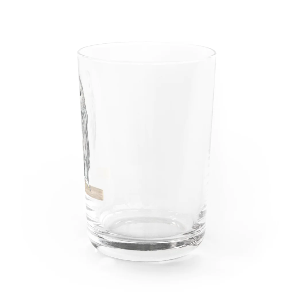 森図鑑の[森図鑑] フクロウ Water Glass :right