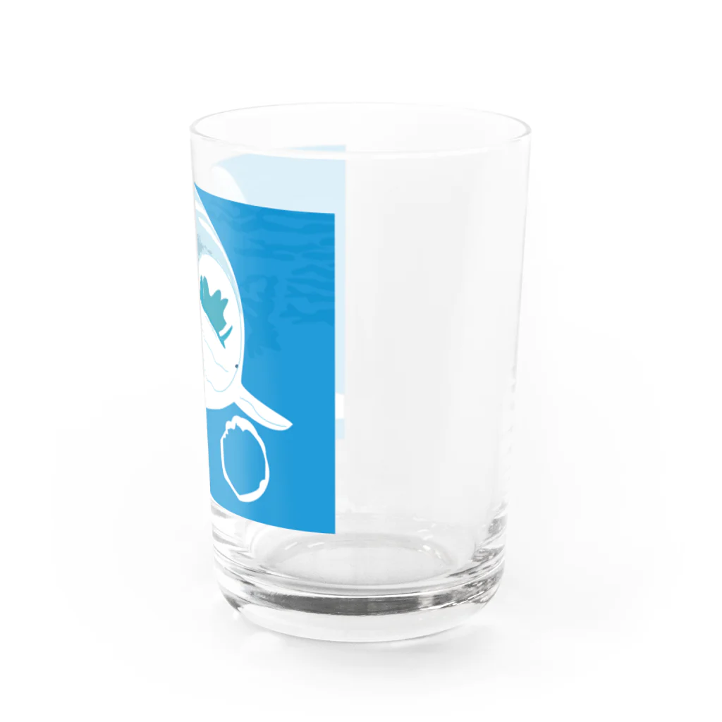 Drecome_Designのシロイルカ Water Glass :right