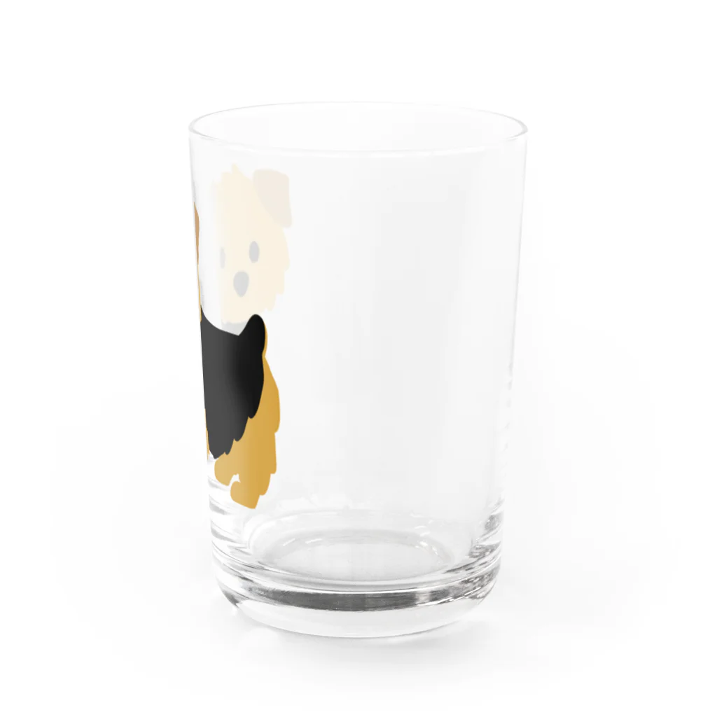 TOMOS-dogのnorfolkterrier（ブラタン） Water Glass :right