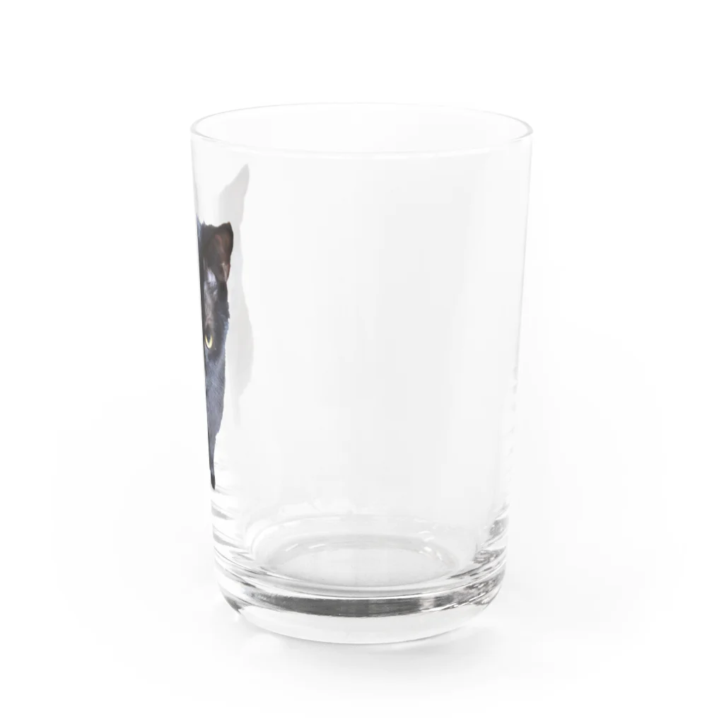 黒猫Onlyの黒猫2 Water Glass :right