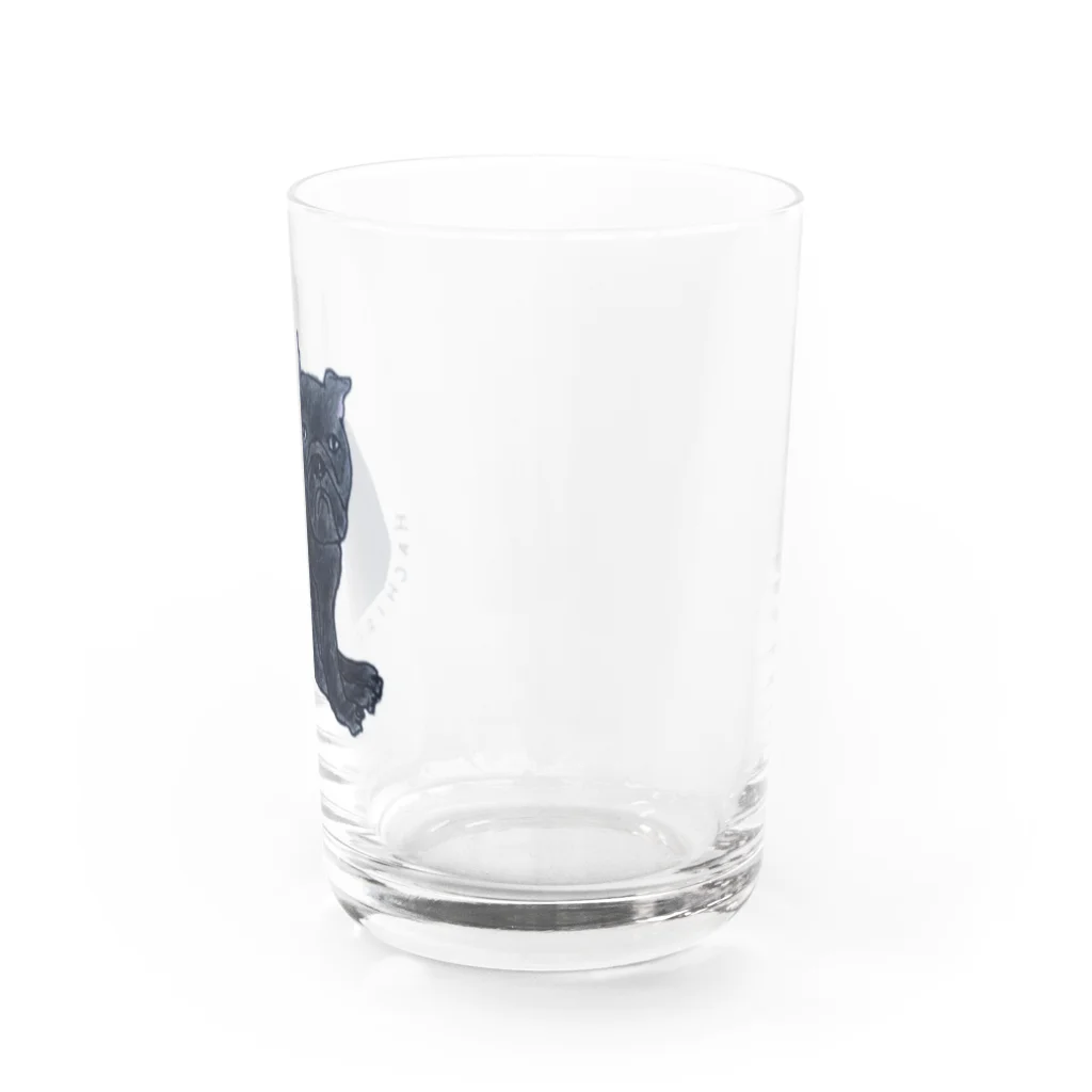 toadのHACHIRO Water Glass :right