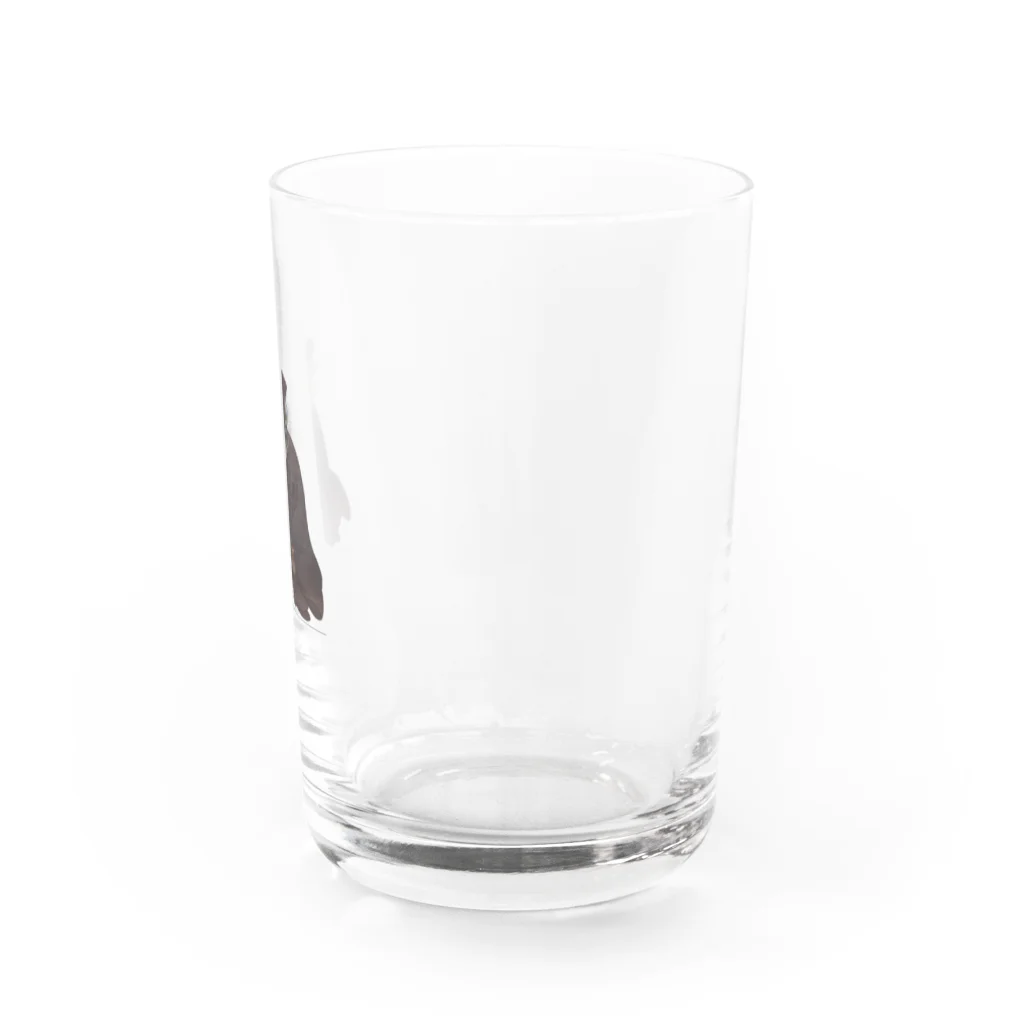 ⌁の千利休 猫 Water Glass :right