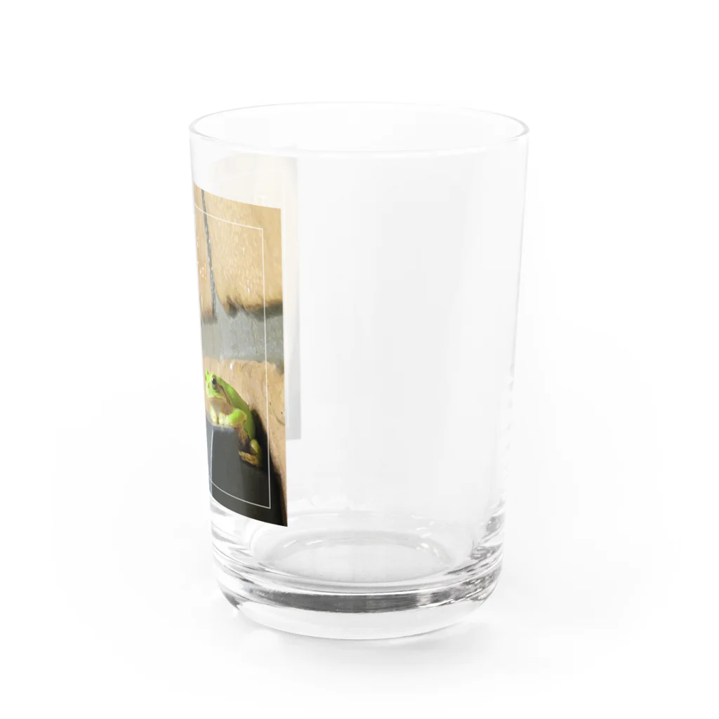 山中屋の雨待ちカエル Water Glass :right