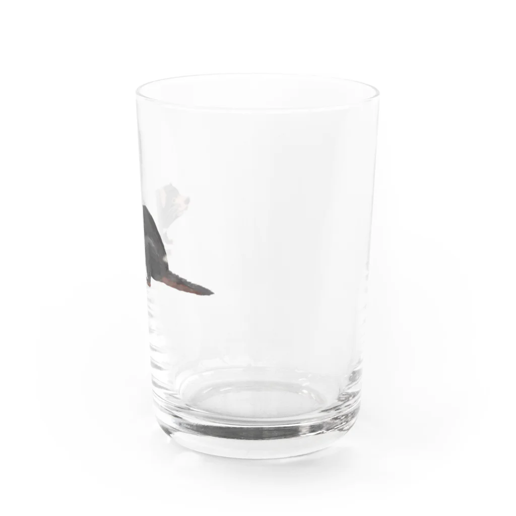 🐶シュナといろいろ🎨のタスマニアデビル Water Glass :right