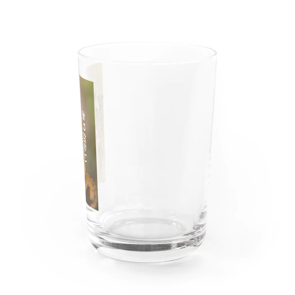 ミラくまのありがたい-リス Water Glass :right