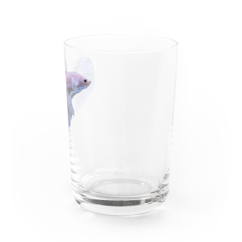 eigMCZ@TD4のシルビア Water Glass :right
