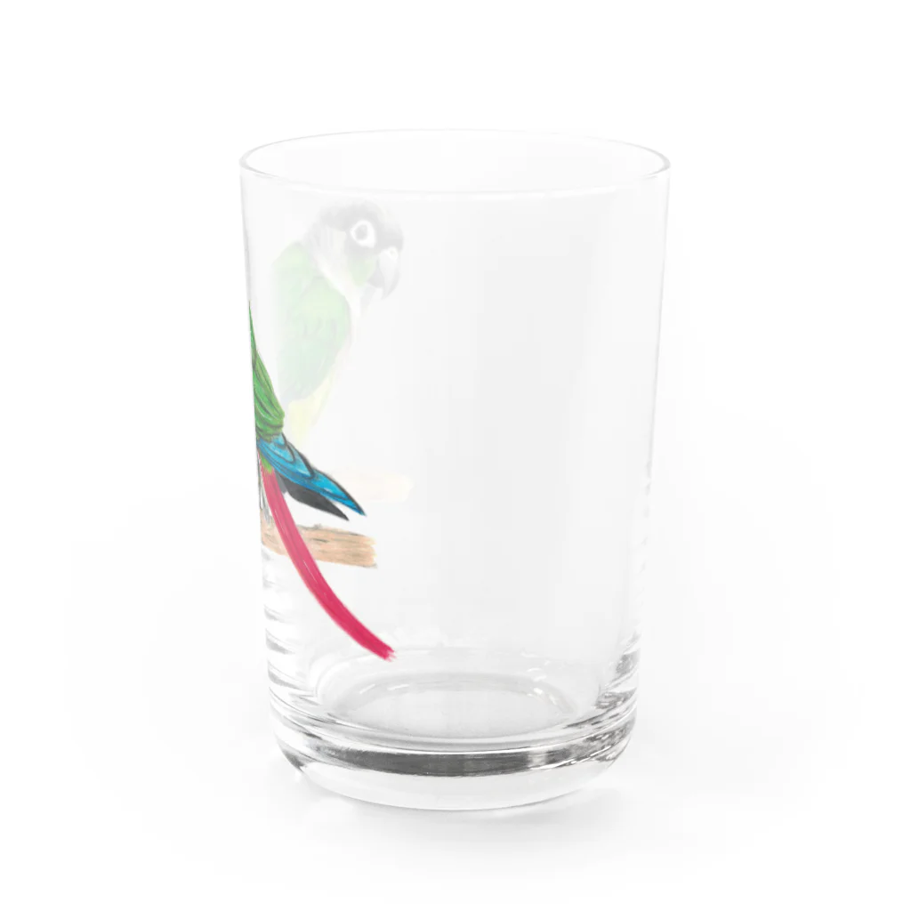 森図鑑の[森図鑑] ウロコインコC 横向き Water Glass :right