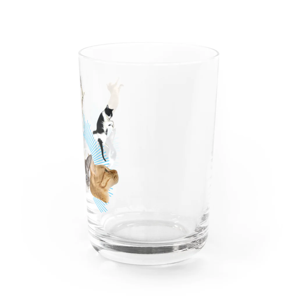エビなしエビフライのうち猫崇拝<ブルー> Water Glass :right