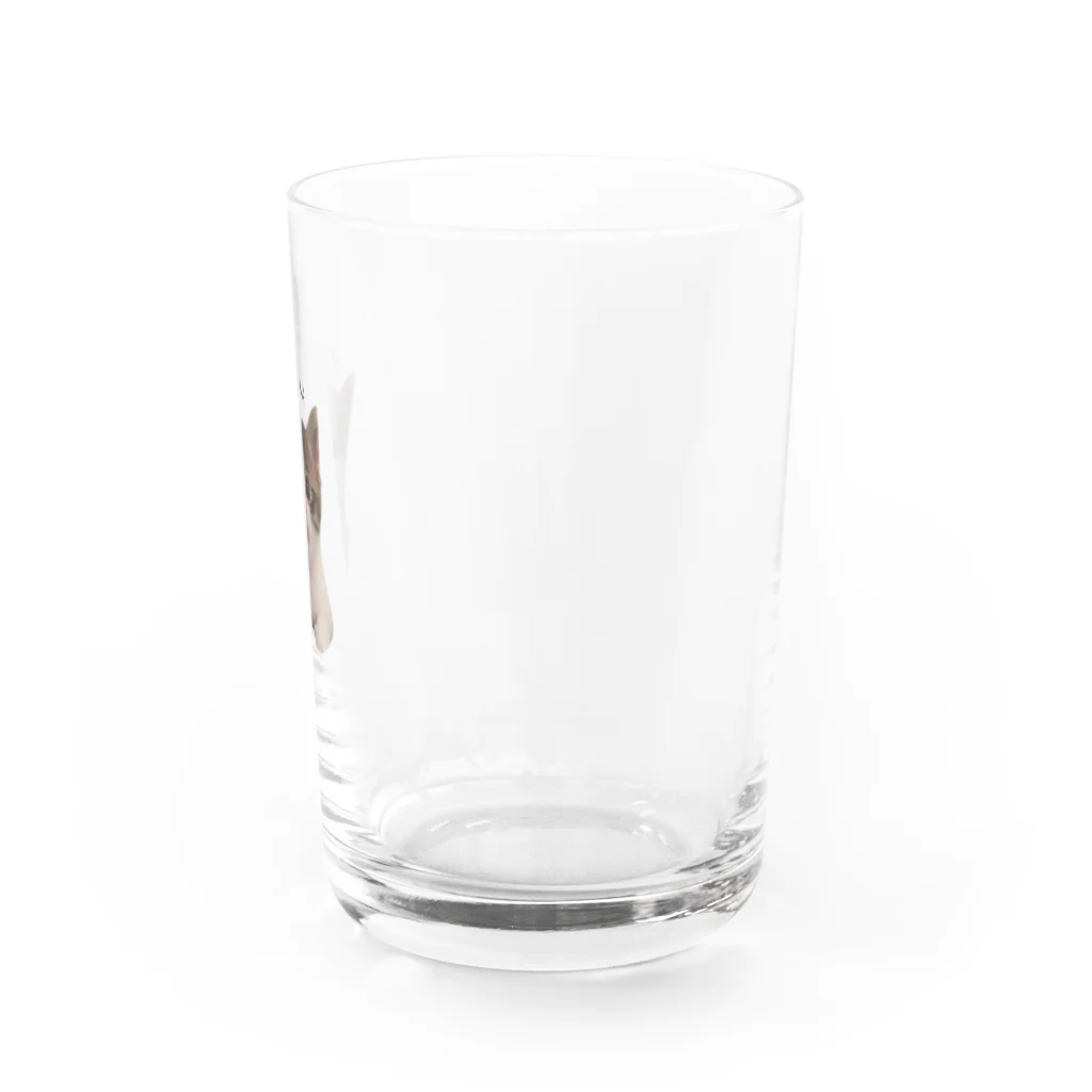 にゃにゃにゃわんこのラブミルクゆずもち Water Glass :right