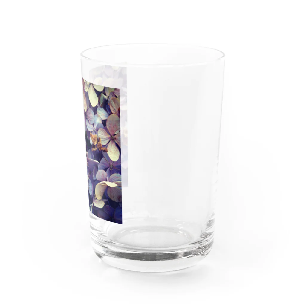 nostalgia のhydrangea Water Glass :right