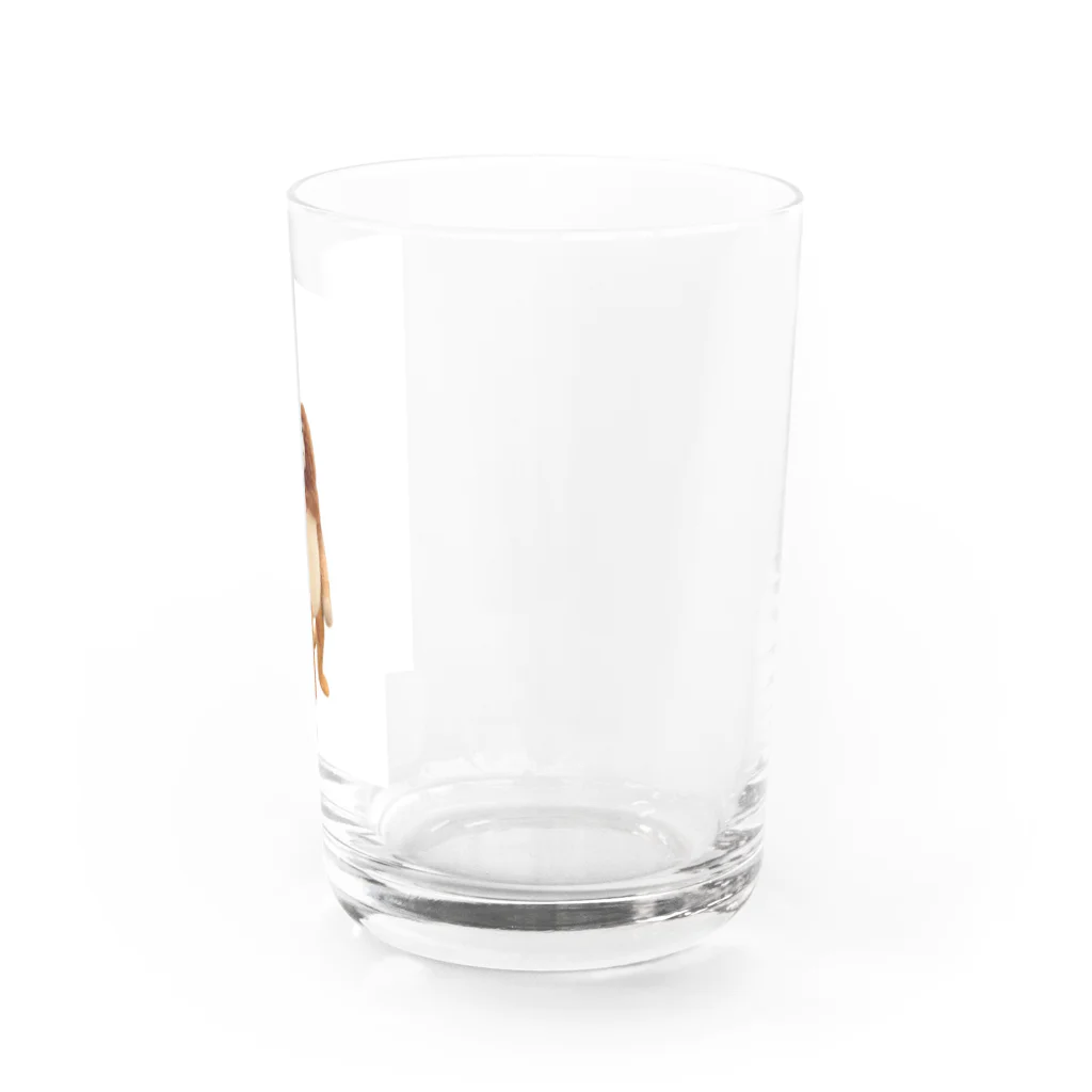 nekinekiのHey,Taxiキンシコウ  Water Glass :right