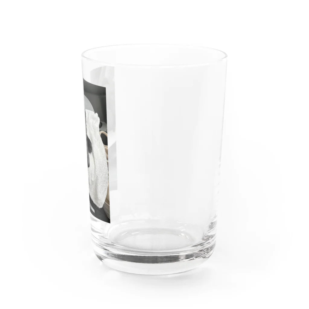 goma93のアスラン Water Glass :right