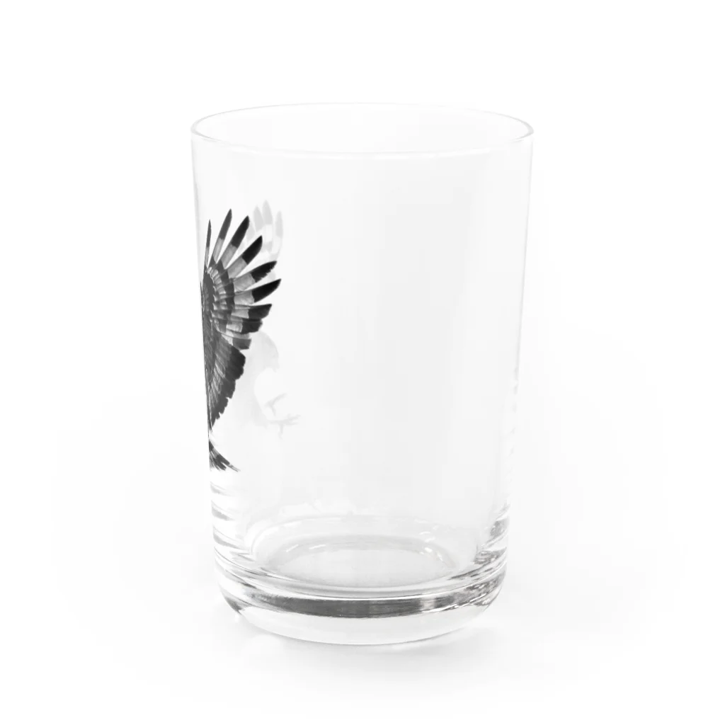 WILDBIRD GOODS SHOPのカンムリワシ・モノクロ Water Glass :right