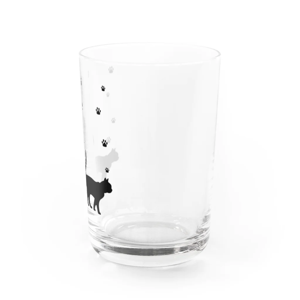 紅天本舗の猫に魅了される＊黒＊グラス Water Glass :right