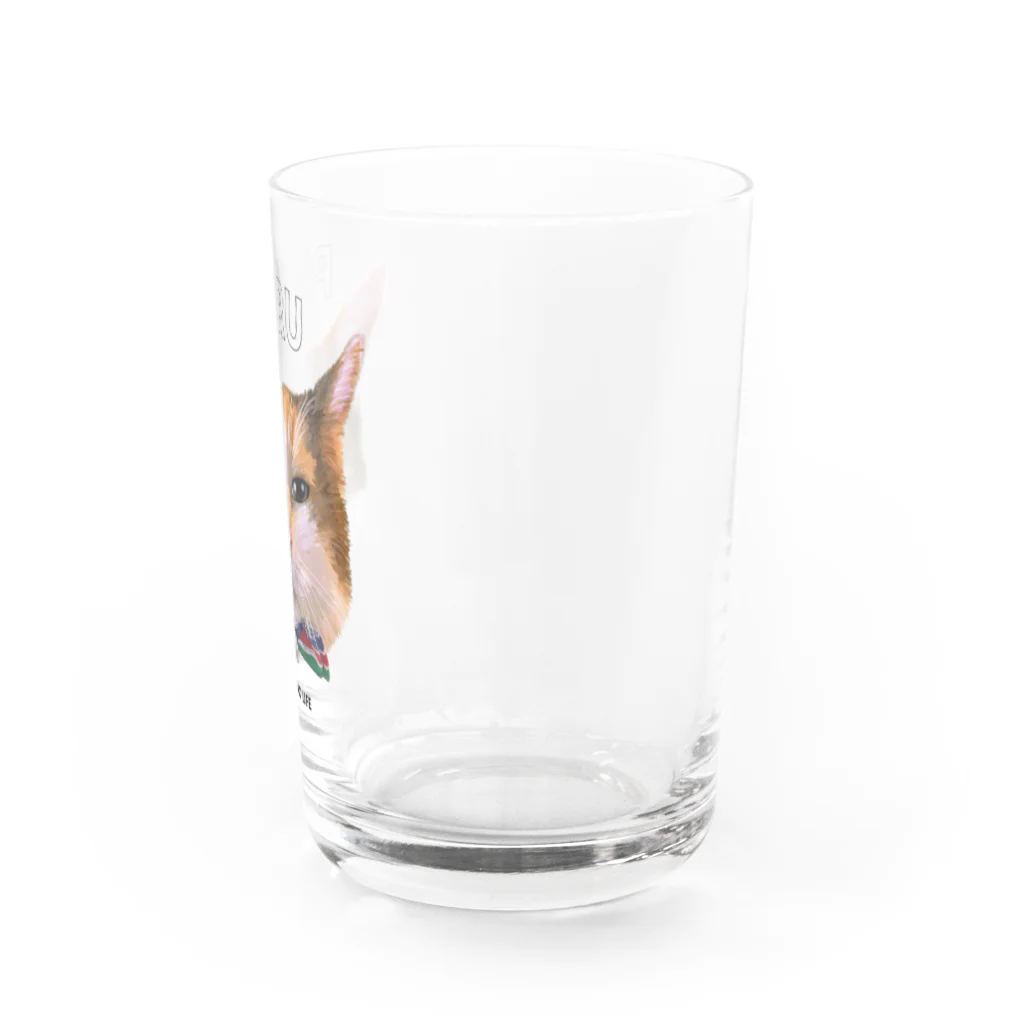 猫のイラスト屋さんのPARU Water Glass :right