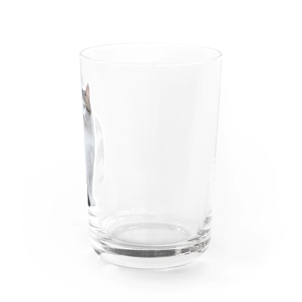 nekousagi*∩..∩のトラミ兄ちゃんリーダーの風格😽✨【nekousagi*∩..∩ロゴ入り】 Water Glass :right