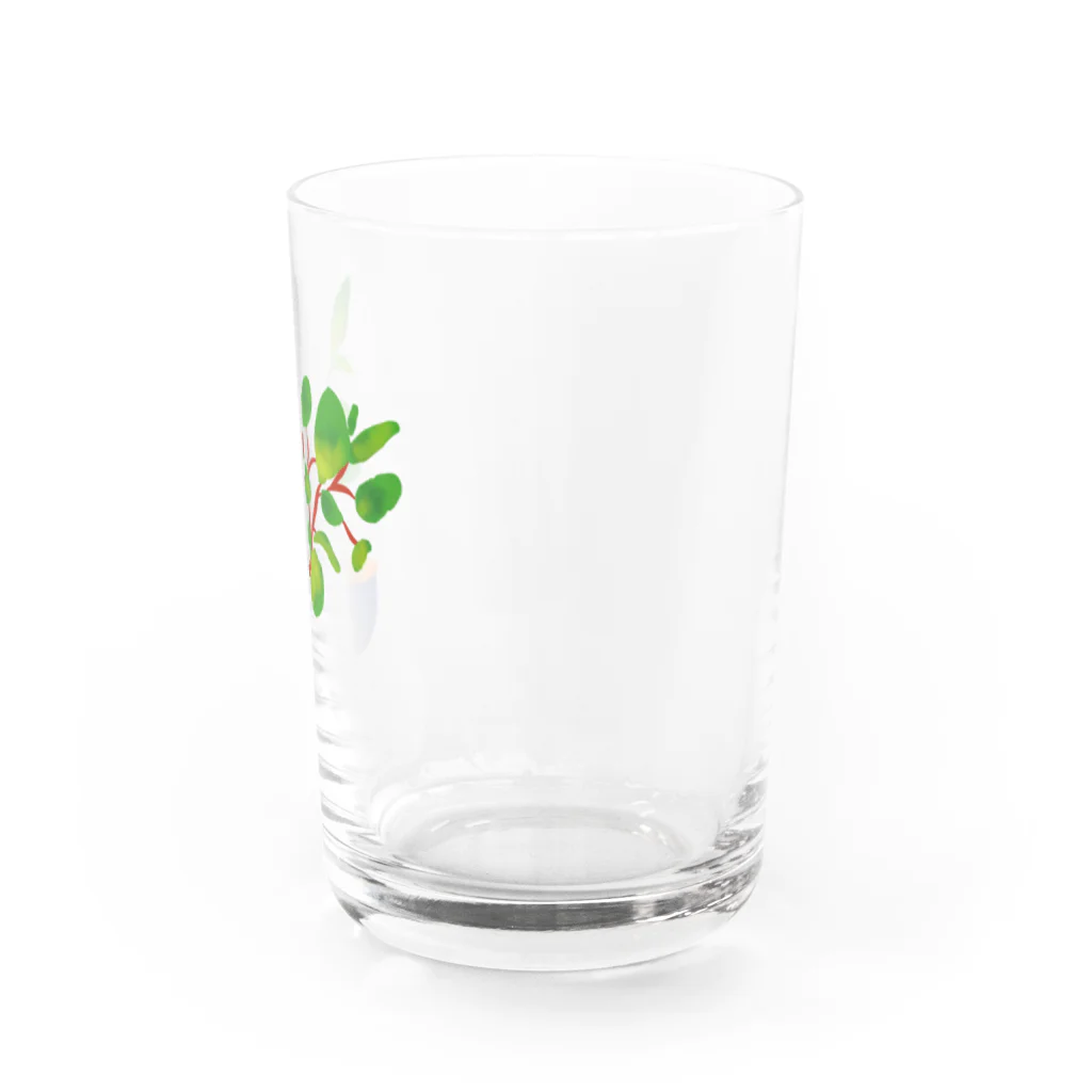 mercyの【Watercolor Plants】 Water Glass :right