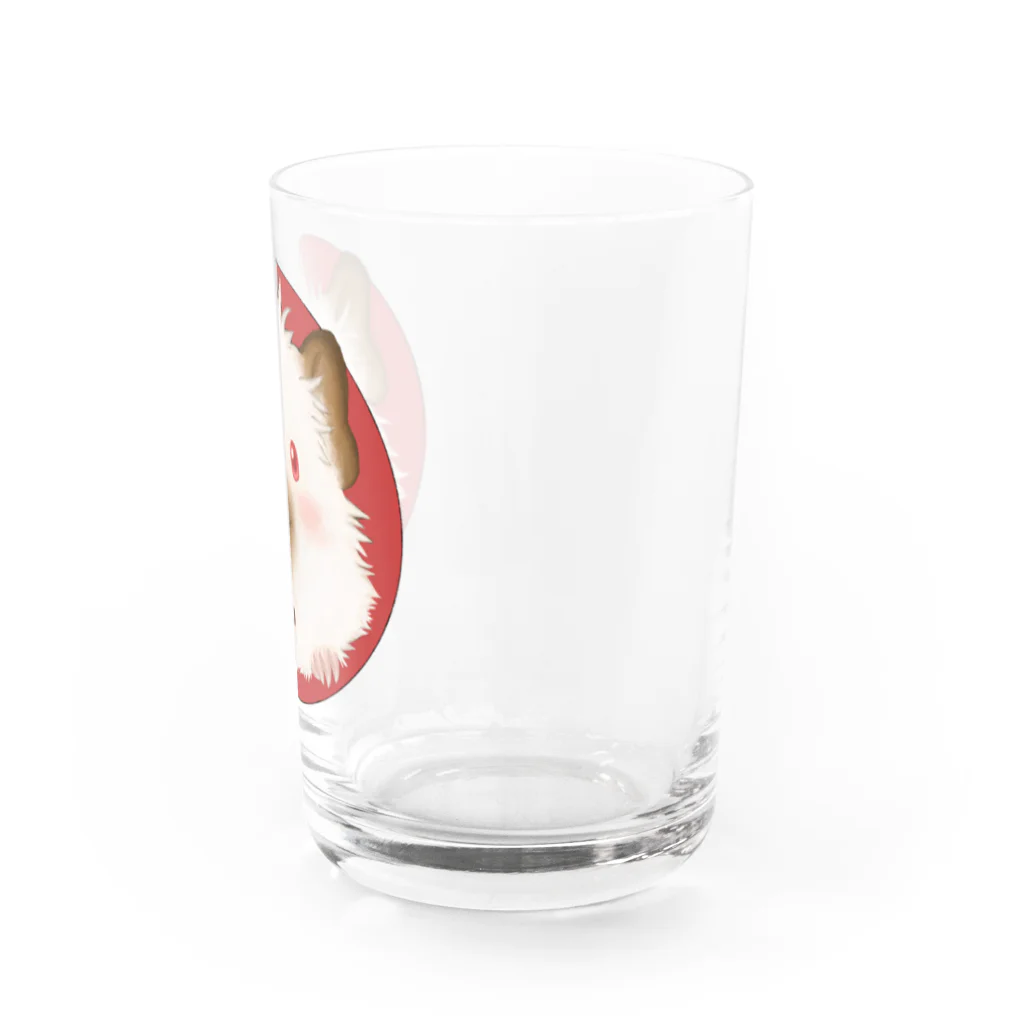 【モルモット】Mugi & Ruki【四国犬】のヒマラヤン モルモット君 Water Glass :right