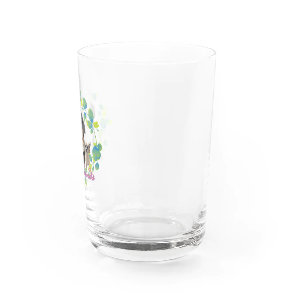 Linlin Houseのチワバニちゃん(ダブルトーン) Water Glass :right