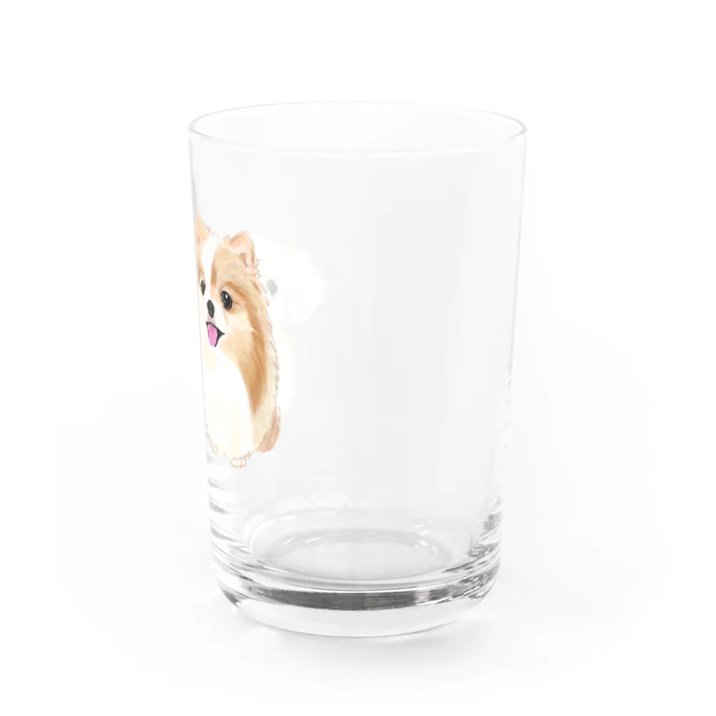 hanapecha_wannyanのポメペキちゃん＆ペキニーズ Water Glass :right