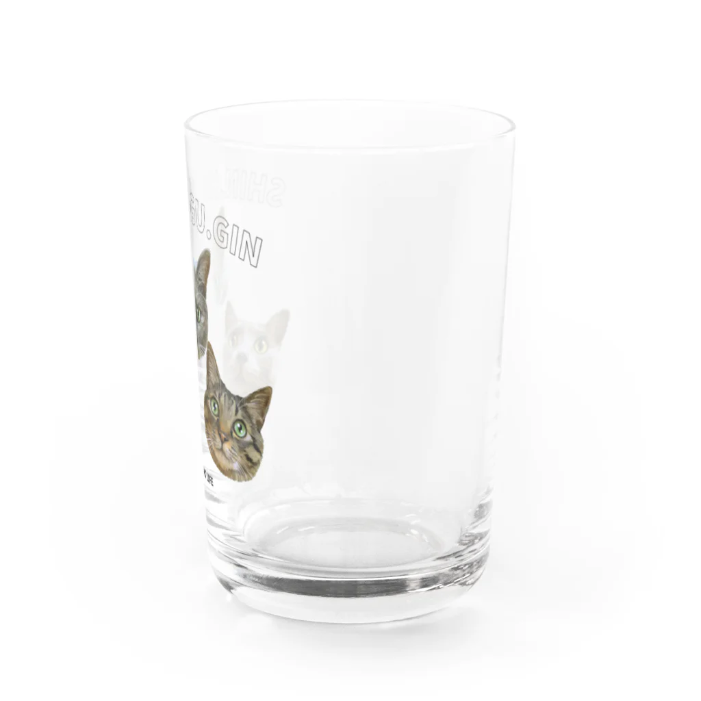 猫のイラスト屋さんのshin & kagu & gin Water Glass :right